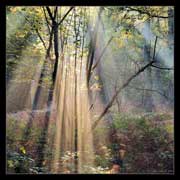 SCRC Retreat 
"Hearing the Call of the Lord"